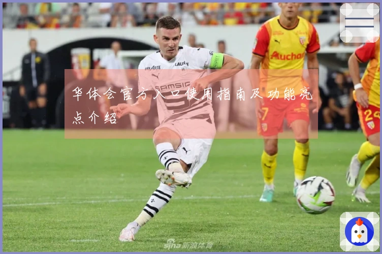 华体会官方入口使用指南及功能亮点介绍